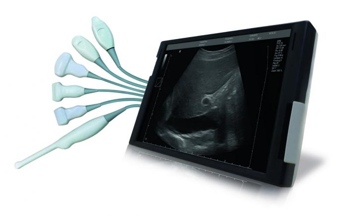 SmartEcho 128